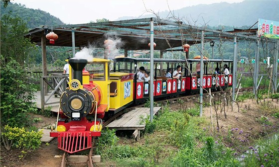 小火車