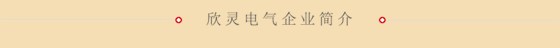 欣靈電氣簡介