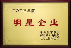 欣靈-2023年度柳市鎮明星企業