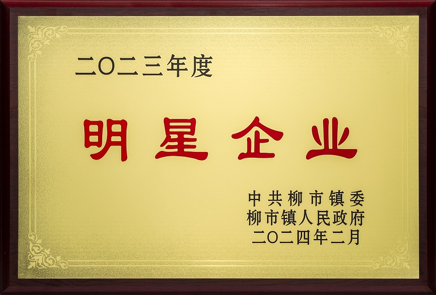 欣靈-2023年度柳市鎮(zhèn)明星企業(yè)-2024年02月 - 副本